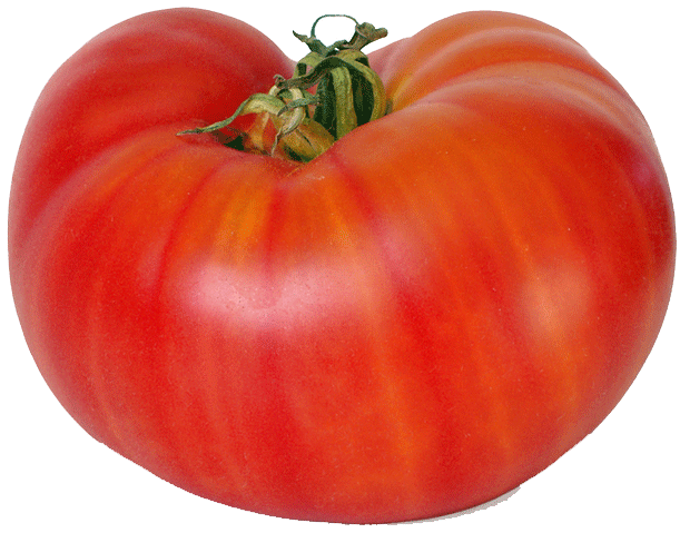 Sunset  tomato, beefsteak per pound Full-Size Picture